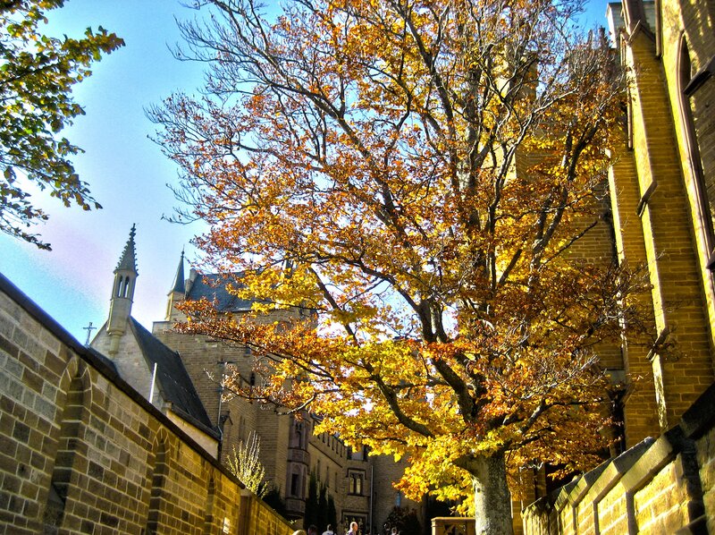 Autumn Tree in Courtyard — Yellow