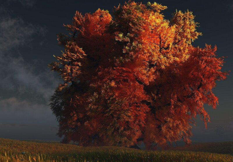 Autumn Tree in Field — Orange, Dramatic, Digital Art, Sky, Clouds