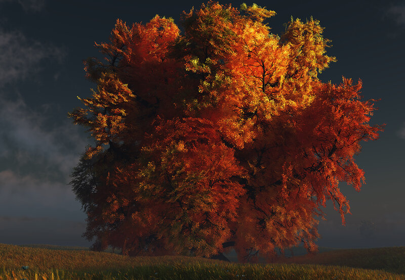 Autumn Tree in Field — Orange, Dramatic