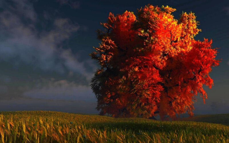Autumn Tree in Field — Red, Dramatic, Digital Art