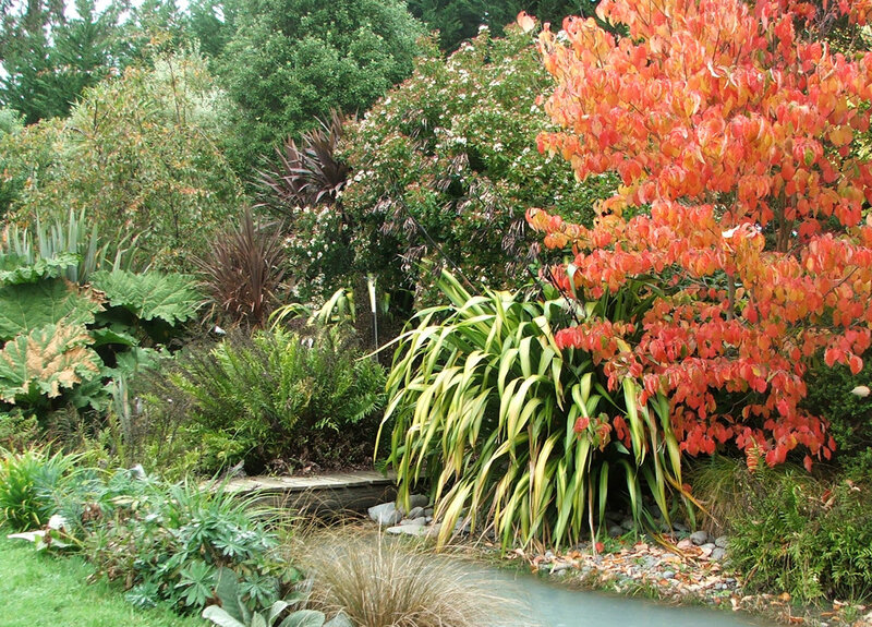 Autumn Tree in Garden — Red