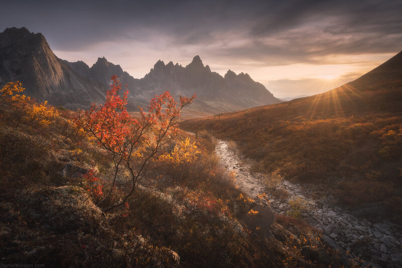 Autumn Tree in Mountain Valley — Orange