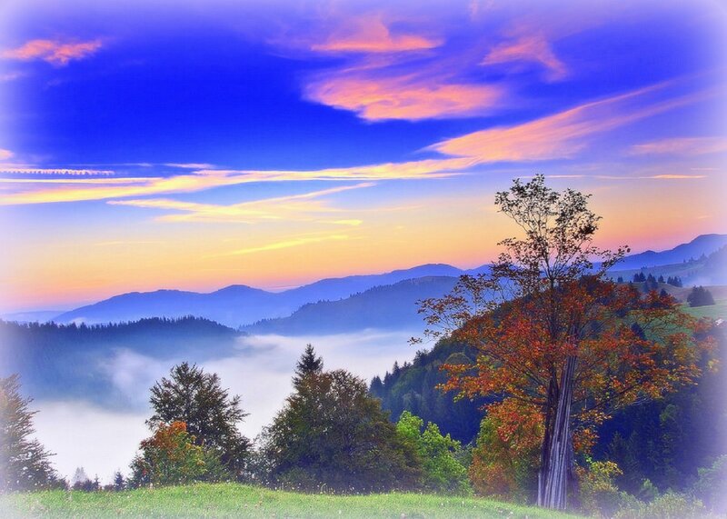Autumn Tree in Valley — Blue