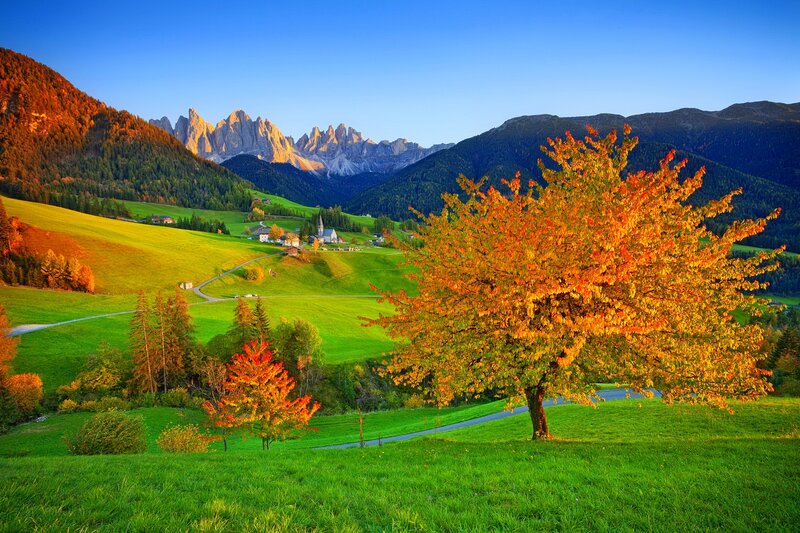 Autumn Tree in Valley — Green, Serene, Photograph