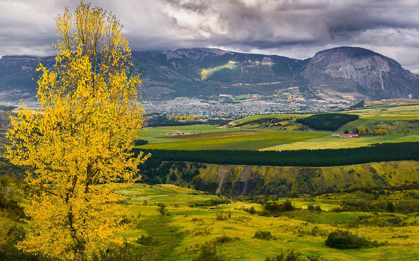 Autumn tree in valley landscape