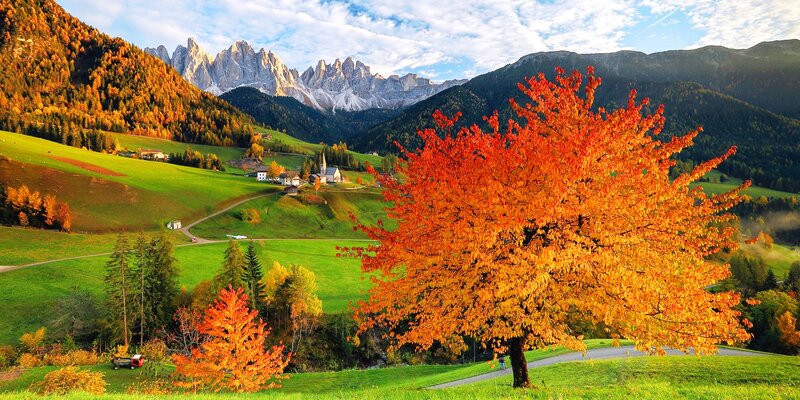 Autumn Tree in Valley — Orange, Serene, Photograph