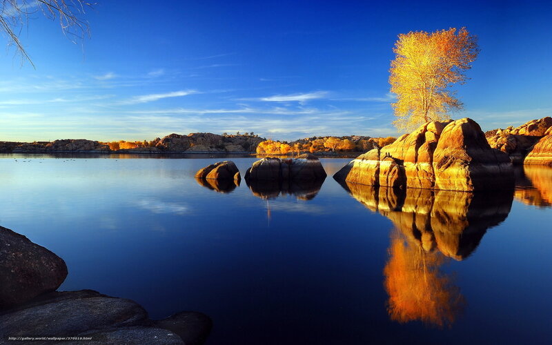 Autumn tree on a rock by the lake