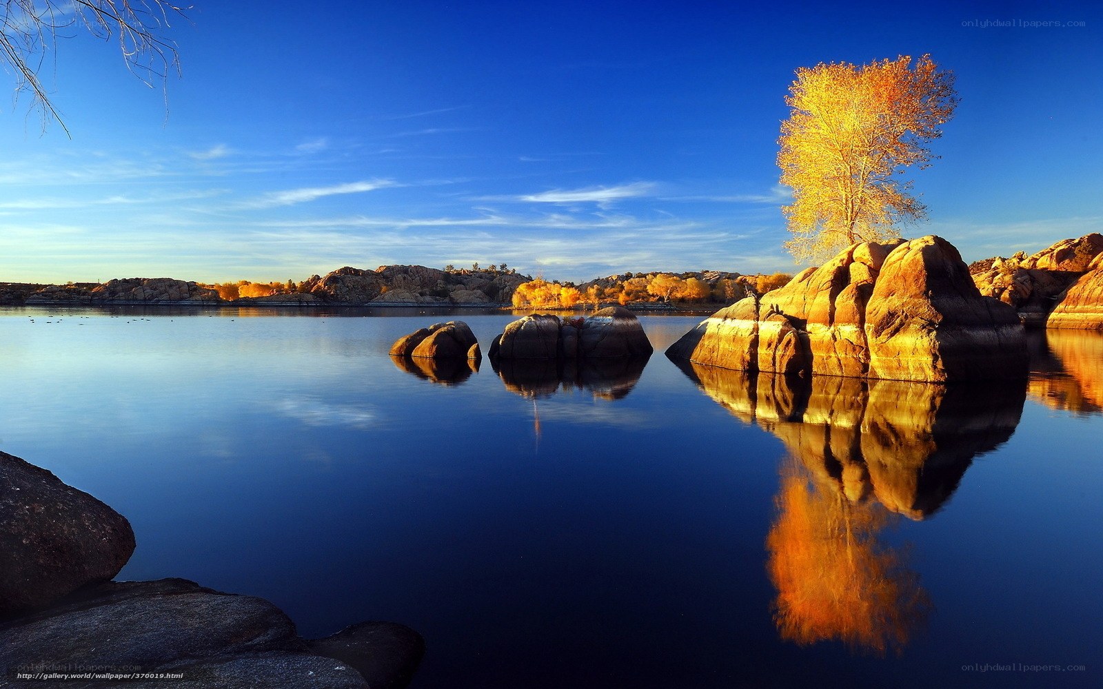 Autumn tree on a rock by the lake