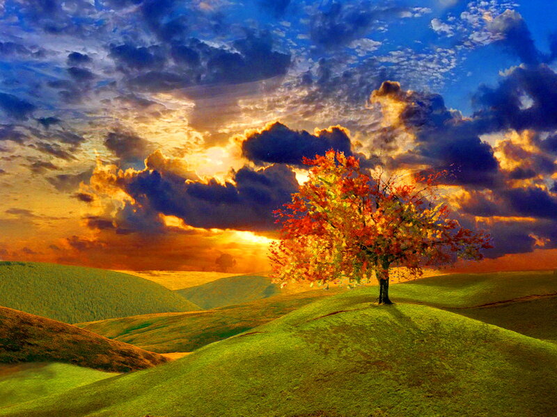 Autumn Tree on Hill — Green