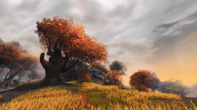 Autumn Tree on Hill — Orange, Serene, Sunset