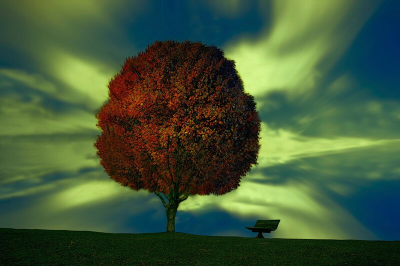 Autumn Tree on Hill — Red