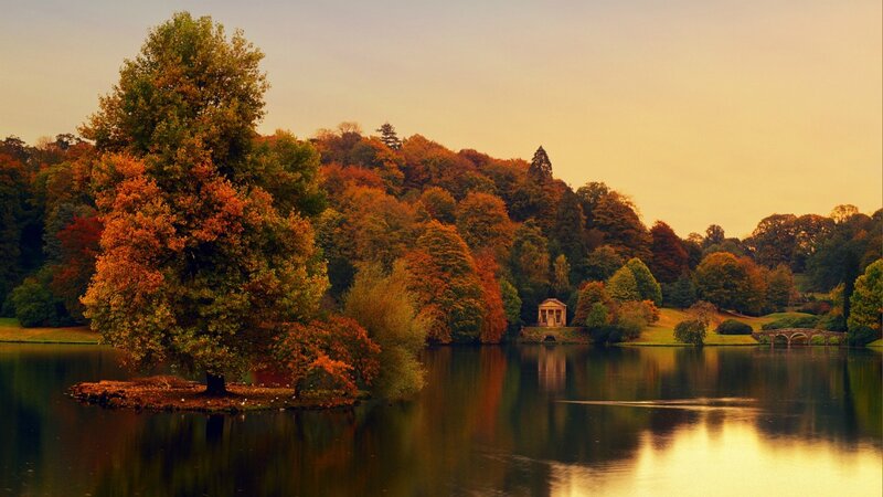 Autumn Tree on Island — Orange, Serene