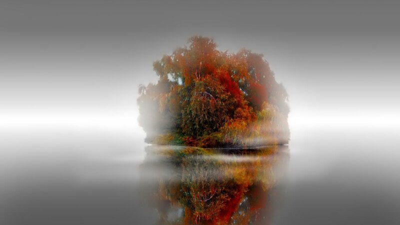 Autumn Tree on Island — Orange