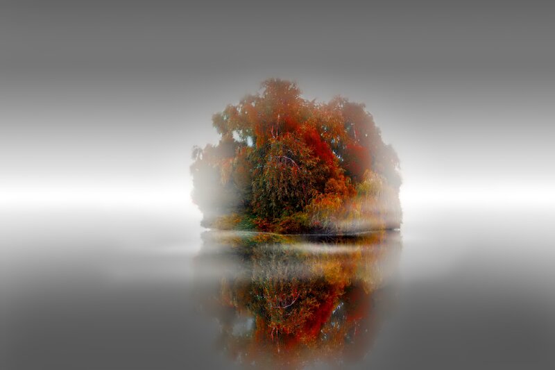 Autumn Tree on Island