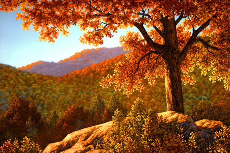 Autumn Tree on Rock