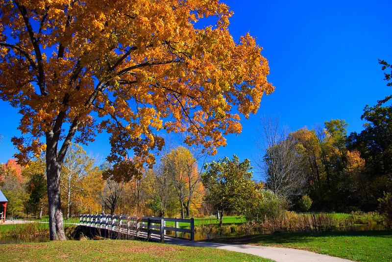 Autumn Tree over Bridge
