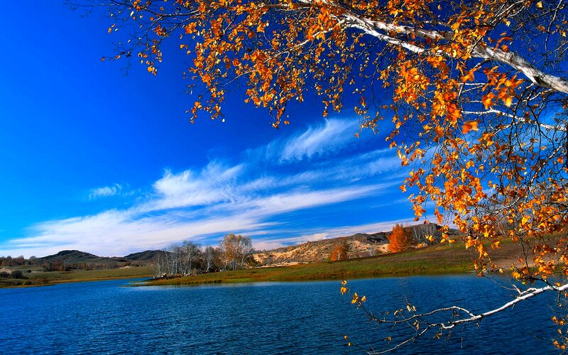 Autumn Tree over Lake — Blue