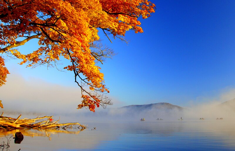 Autumn Tree over Lake — Orange, Serene, Photograph, Trees