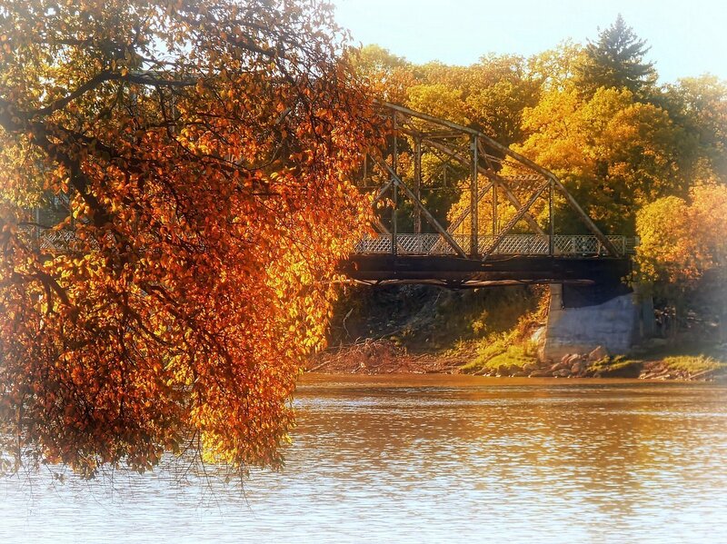 Autumn Tree over River — Orange