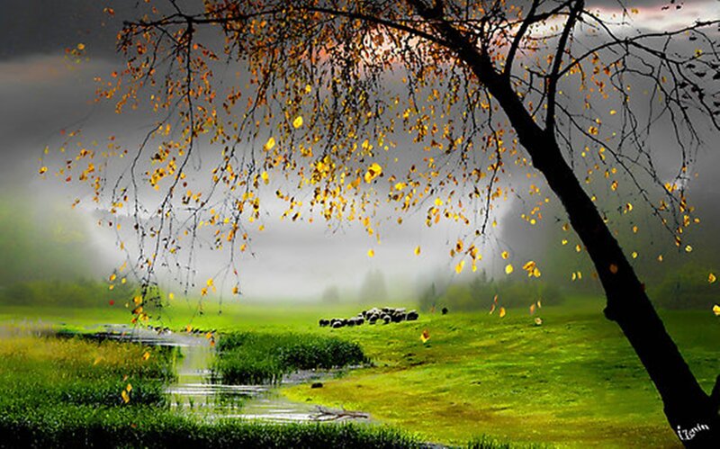 Autumn Tree over Stream — Green