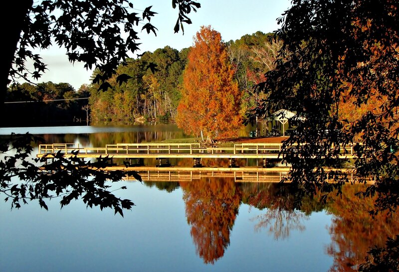 Autumn Tree Reflection — Blue
