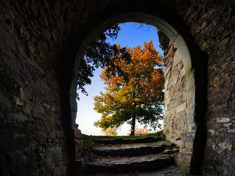 Autumn Tree Through Arch