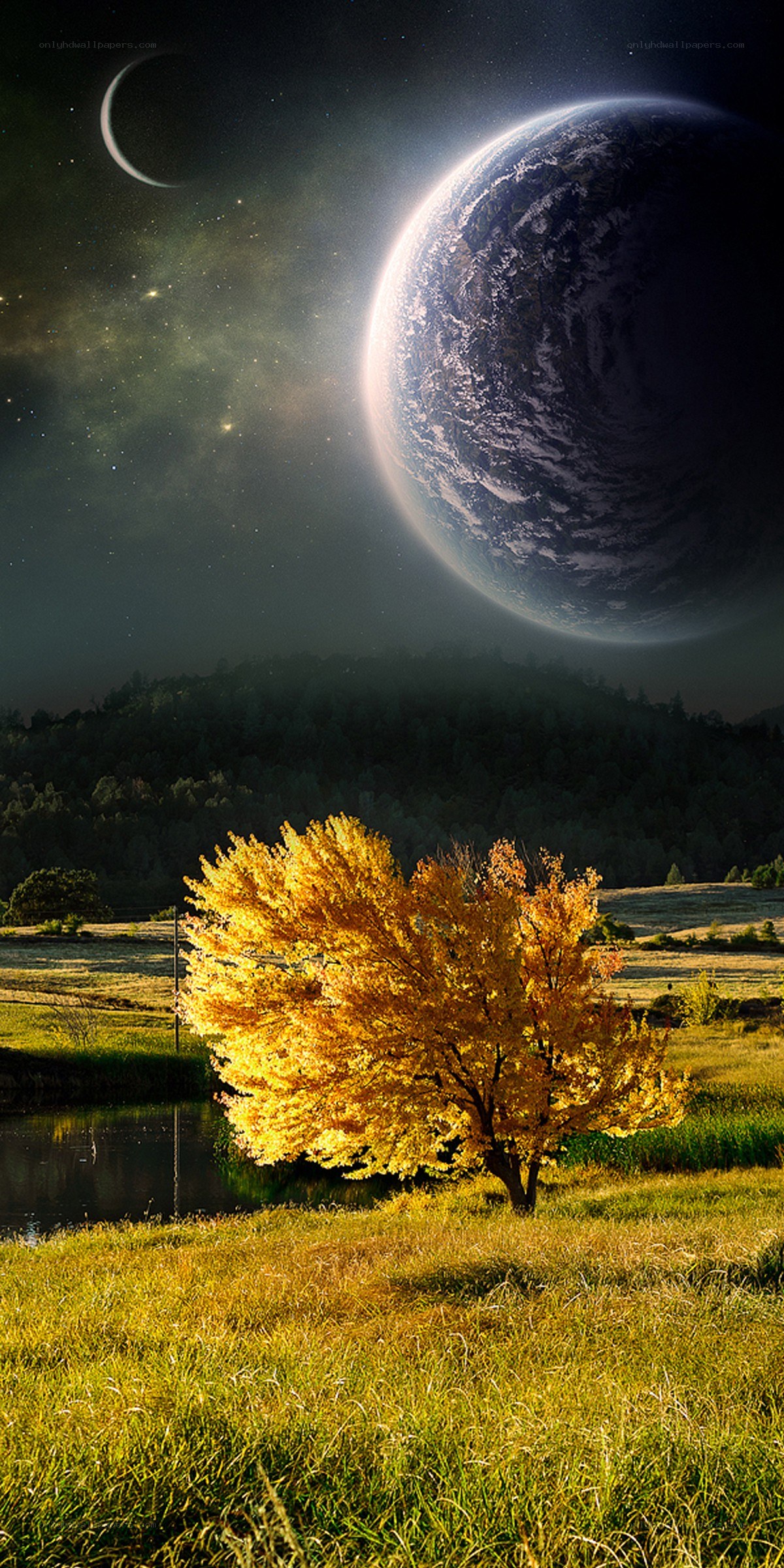 Autumn tree under alien sky