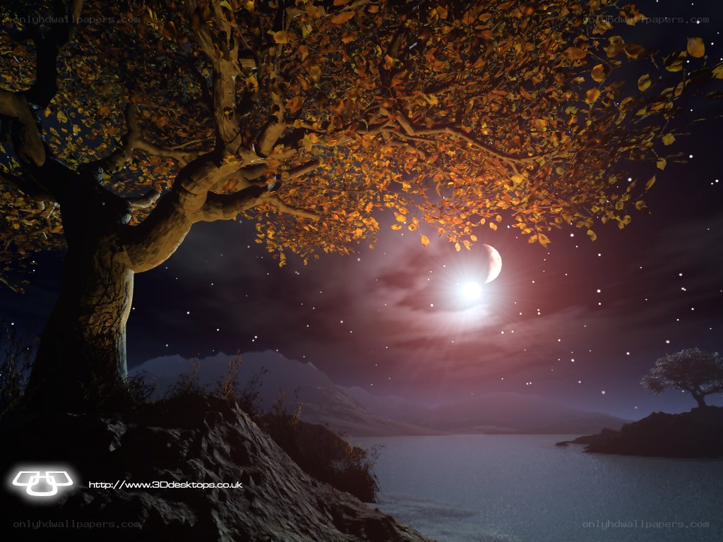 Autumn tree under moonlight