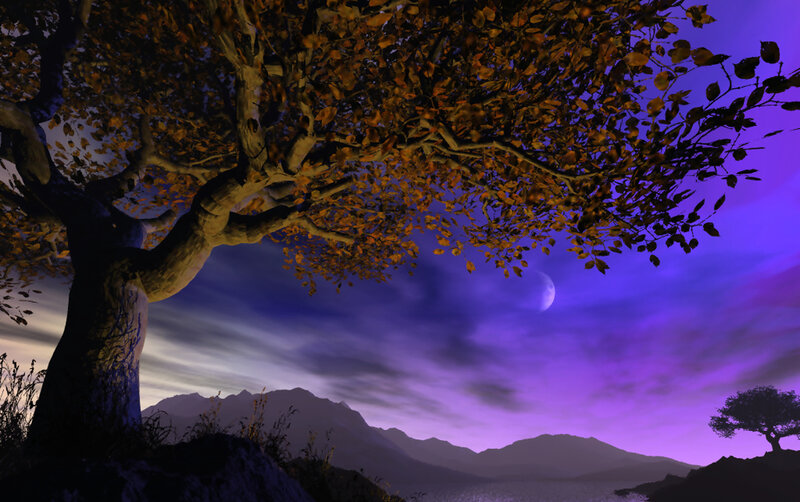 Autumn tree under purple sky
