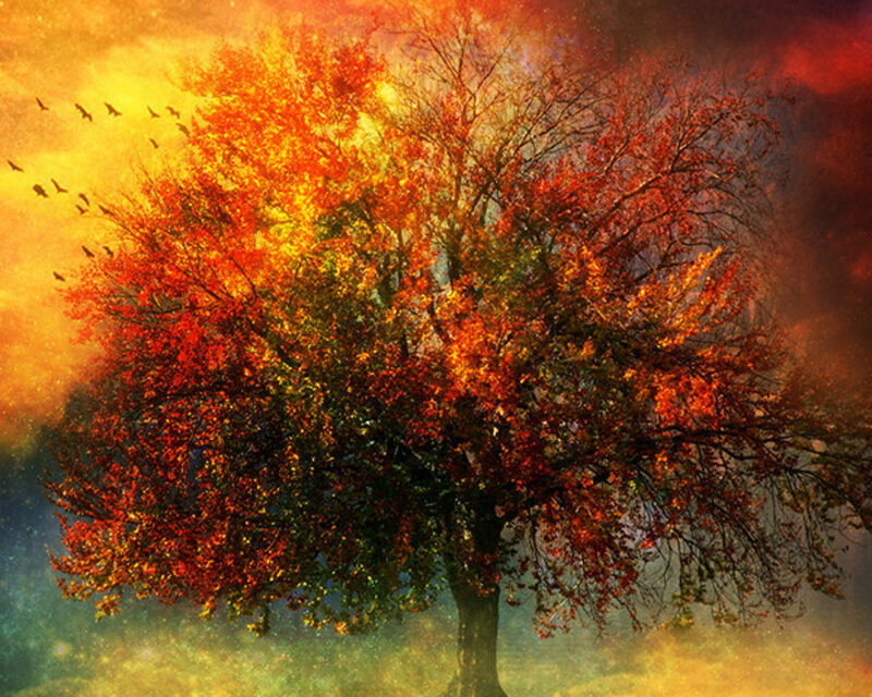 Autumn Tree with Birds — Orange