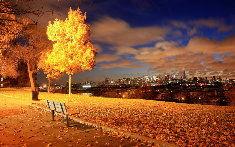 Autumn Tree with City View — Orange