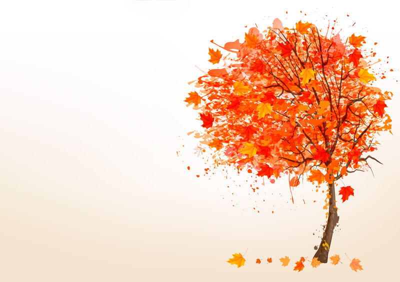 Autumn Tree with Falling Leaves — Orange, Calm