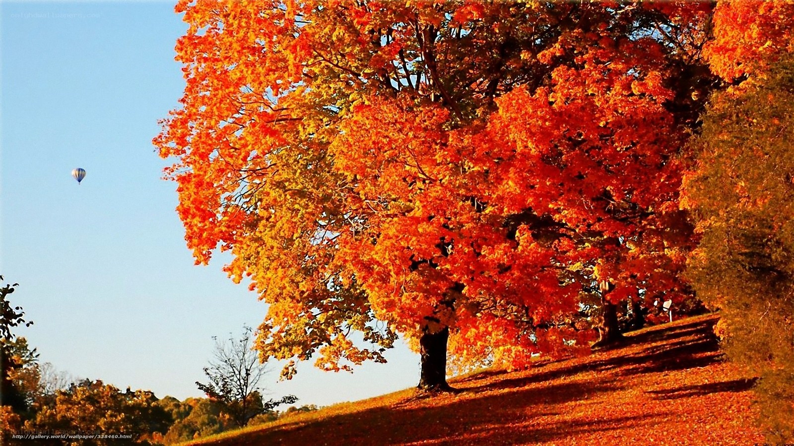 Autumn tree with hot air balloon