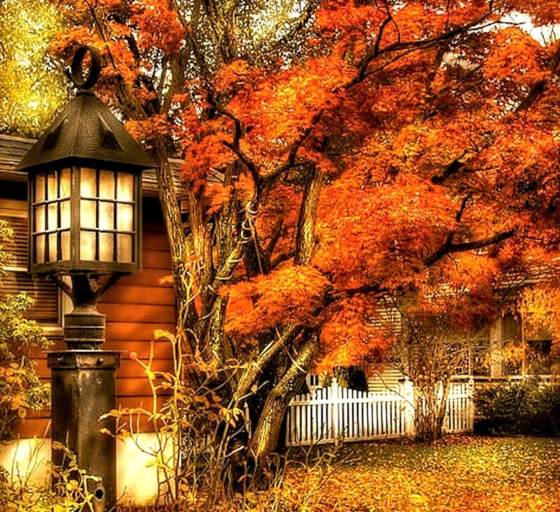 Autumn Tree with Lantern