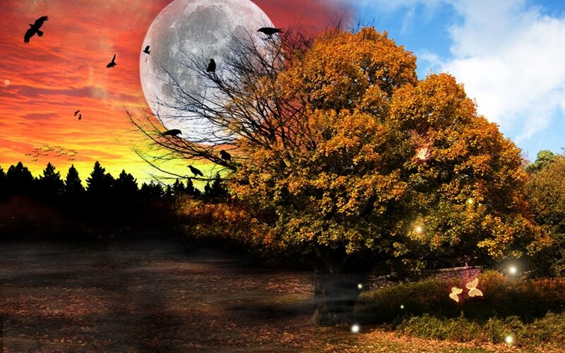 Autumn Tree with Moon