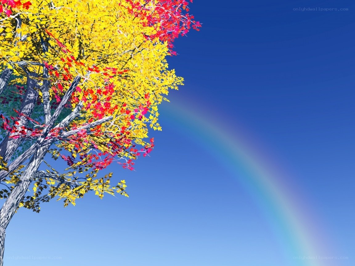 Autumn tree with rainbow