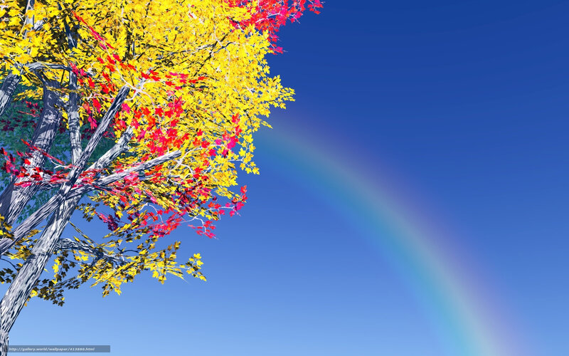Autumn tree with rainbow