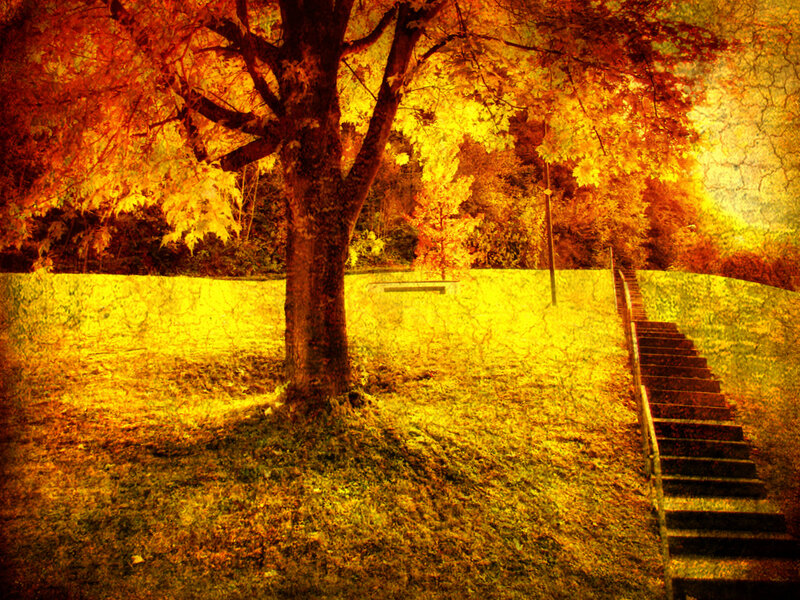Autumn tree with stairs