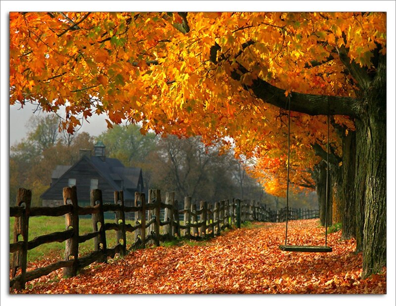 Autumn Tree with Swing