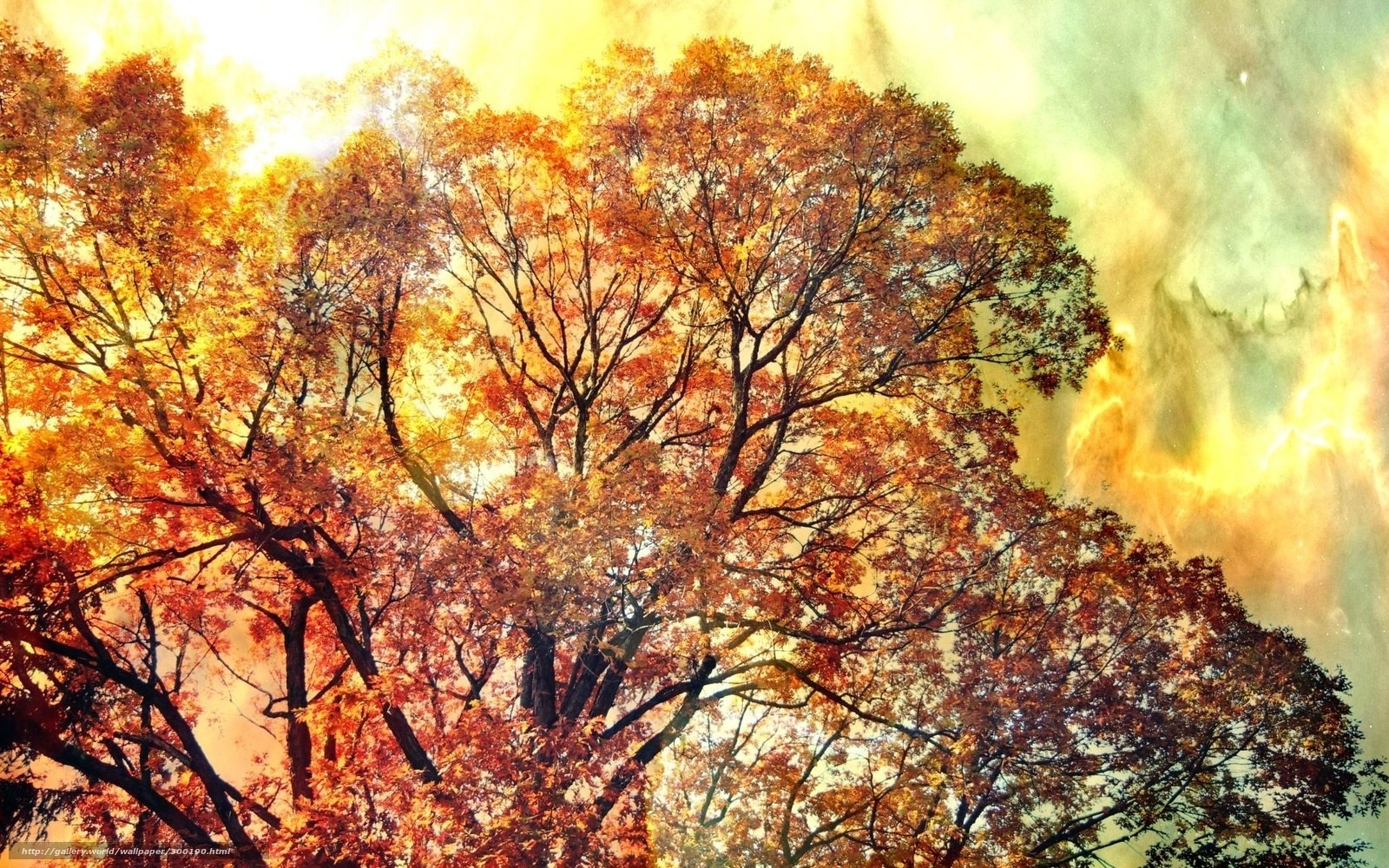 Autumn trees against a vibrant sky