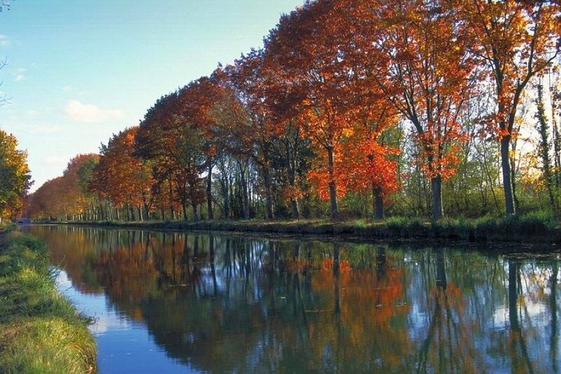 Autumn trees along a canal