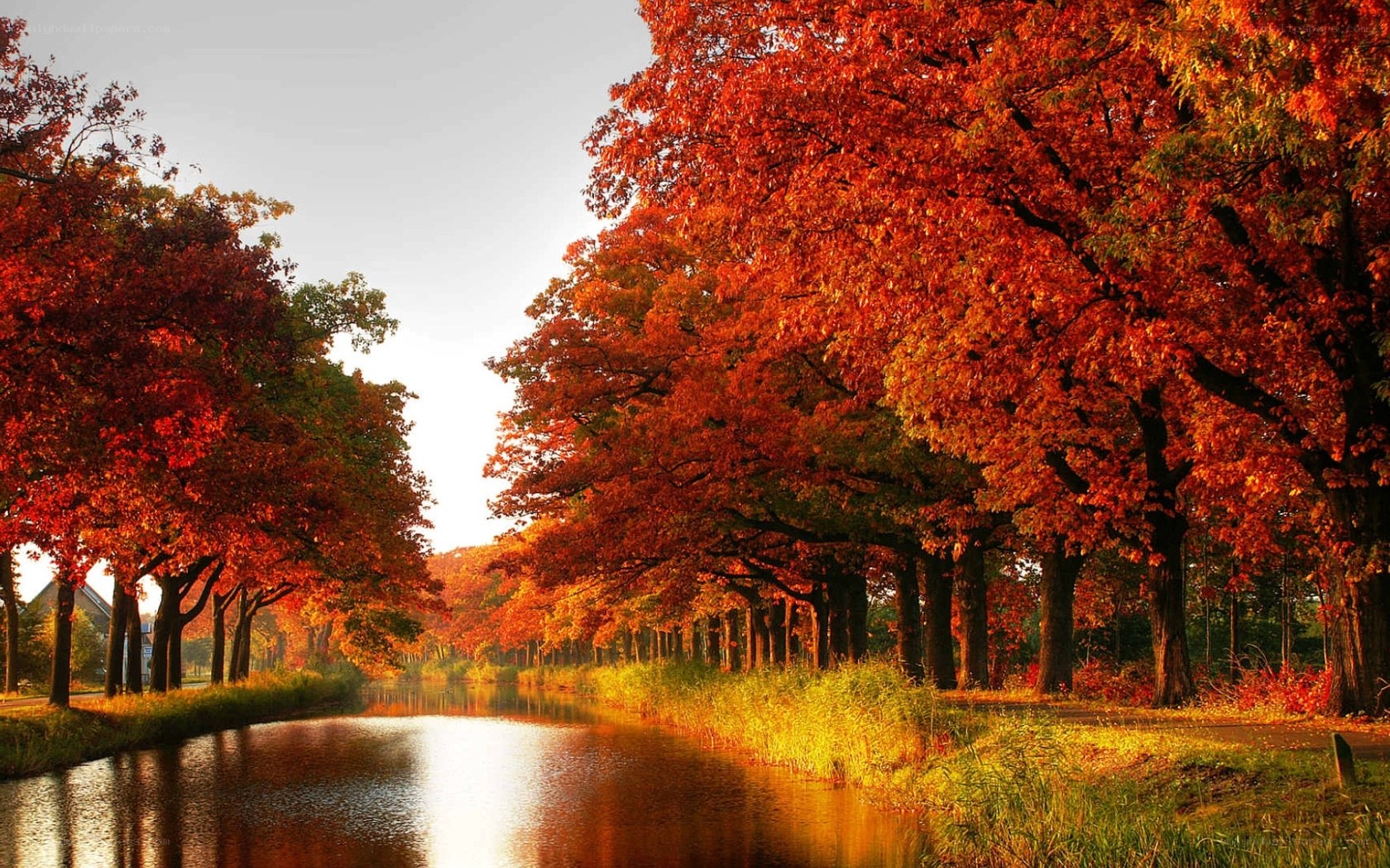 Autumn trees along a canal