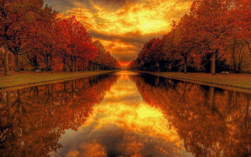 Autumn Trees Along Canal — Orange, Dramatic, Sunset