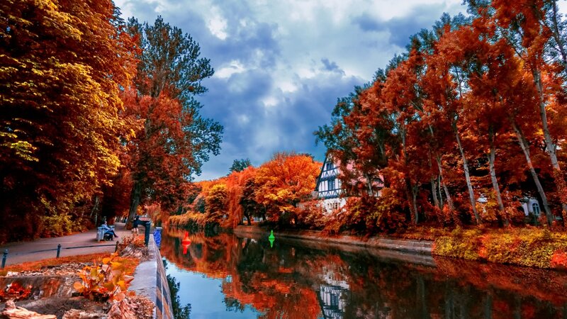 Autumn Trees Along Canal — Orange, Dramatic