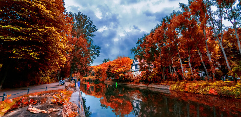 Autumn Trees Along Canal — Orange, Serene, Photograph, House