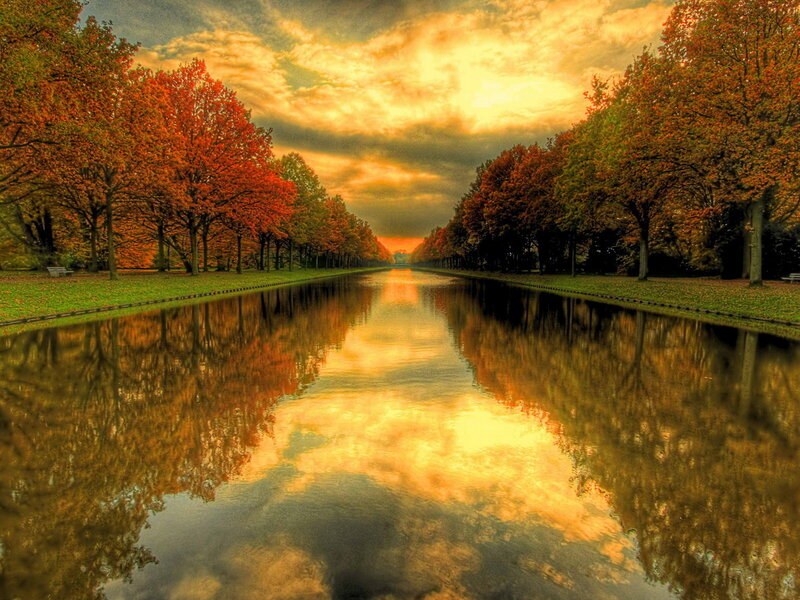 Autumn Trees Along Canal — Orange