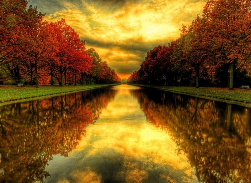 Autumn Trees Along Canal — Red, Dramatic