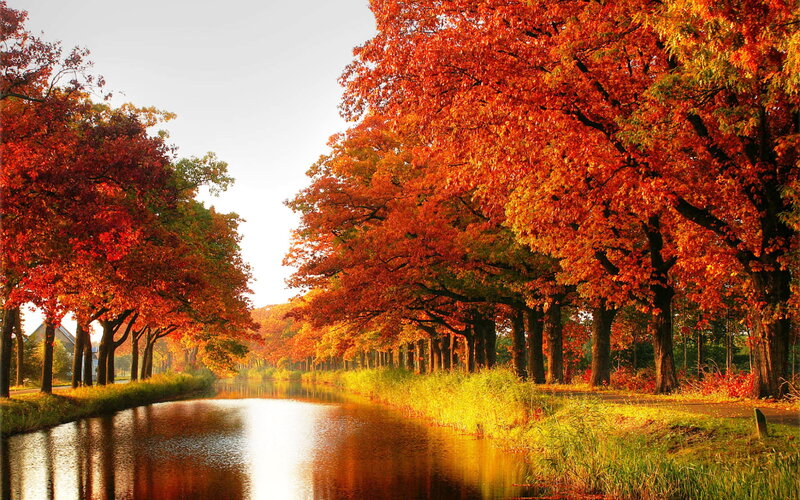 Autumn Trees Along Canal — Red, Serene, Photograph, Grass, Sky