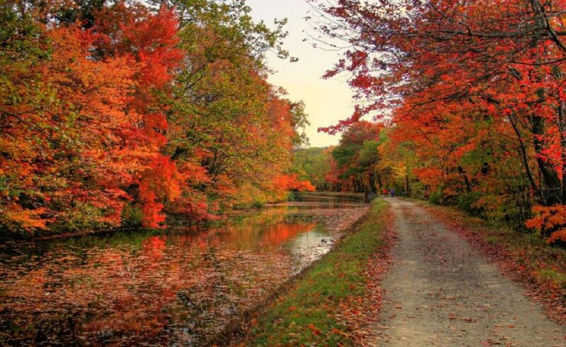 Autumn Trees Along Canal — Red