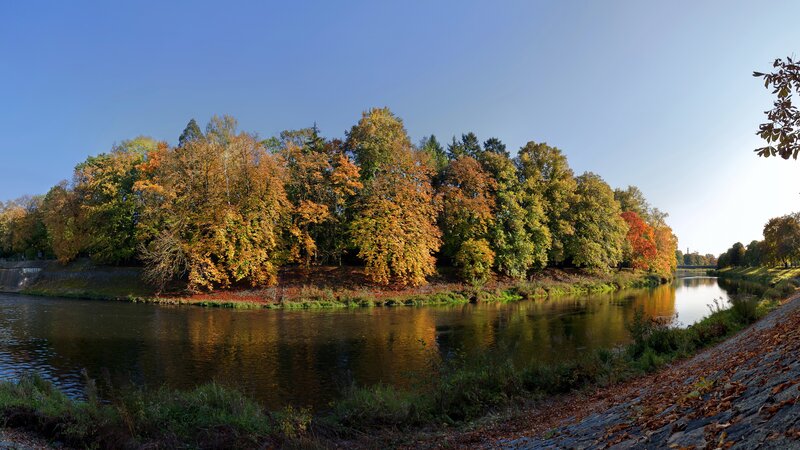 Autumn Trees Along River